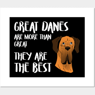 Great danes are more than great - they're the best Posters and Art